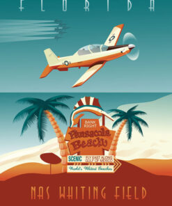 NAS-Whiting-Field-T-6-featured-aircraft-lithograph-vintage-airplane-poster.jpg