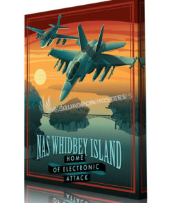 NAS_Whidbey_EA-18_P8-A_Generic_SP01423-aircraft-prints-posters-vintage-art