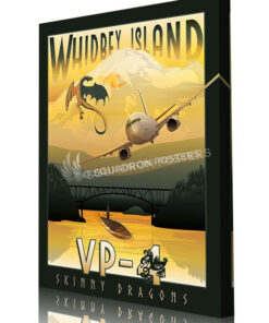 NAS_Whidbey_Island_WA_VP-4_P-8A_GOLD_SP01520-aircraft-prints-posters-vintage-art