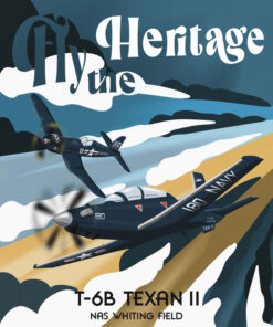 NAS Whiting Field T-6B Heritage Art