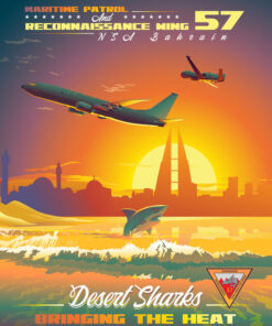 NSA Bahrain CTF-57 Desert Sharks Art