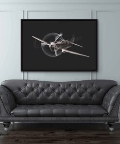 P-40 Warhawk Jet Black