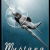 P-51 Mustang P-51 Mustang