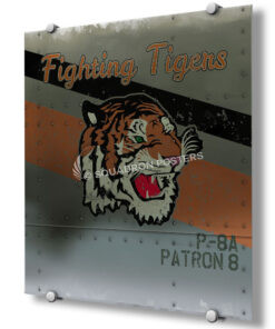 Patrol Squadron 8 (VP-8)