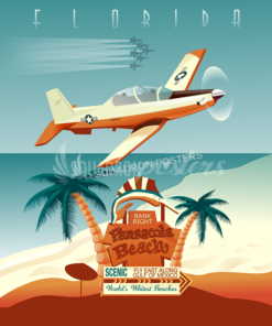 NAS Whiting Field – T-6 Pensacola