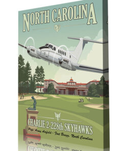 Pope Army Airfield C-12 Charlie 2-228th Skyhawks Art