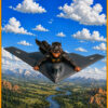 B-2 Superhero Blue Skies and Tailwinds