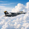 F-14 Tomcat Roaring Soaring VF-103