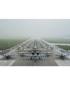 Osan AB Elephant Walk