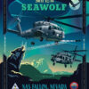 Naval Air Station Fallon – Sea Wolf SWTI class 02-14
