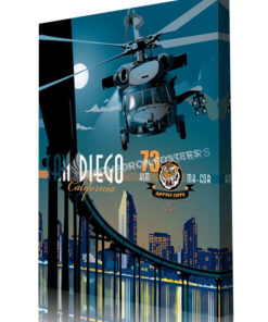 San_Diego_MH-60s_HSM-73_SP00810-aircraft-prints-posters-vintage-art