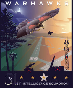 Shaw AFB 51st IS Art