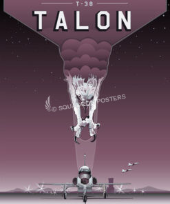 T-38 Talon Art