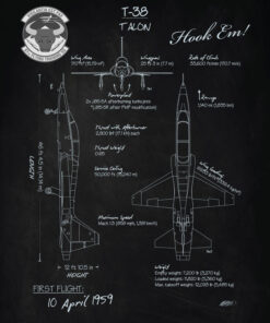 87th FTS T-38 Talon Blackboard Art