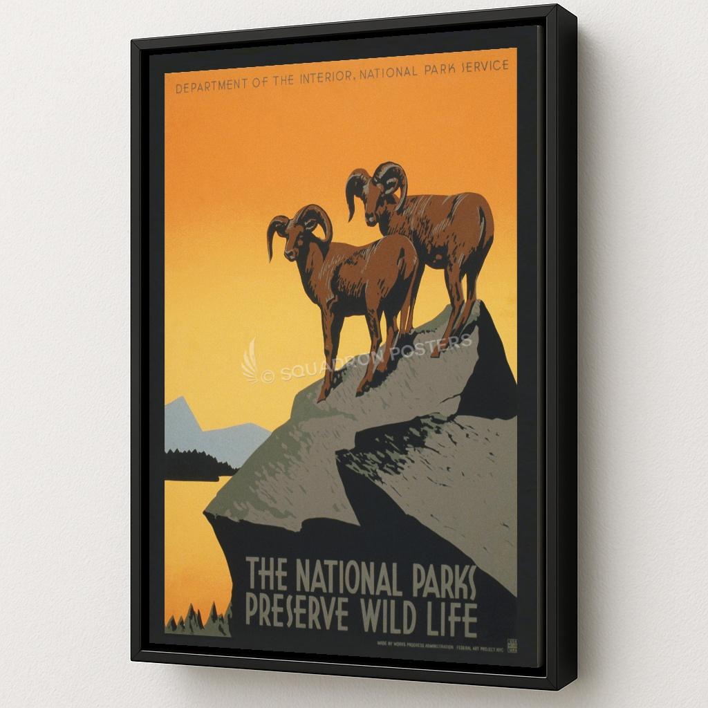 The National Parks Preserve Wild Life Art