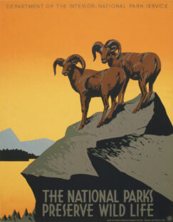 The National Parks preserve wild life WPA poster ca. 1938