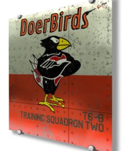 Training Squadron 2 (VT-2)