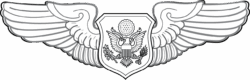 Pilot Wings