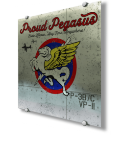 Patrol Squadron 11 (VP-11)