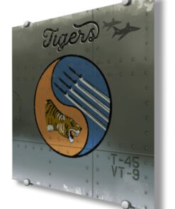 Training Squadron 9 (VT-9)