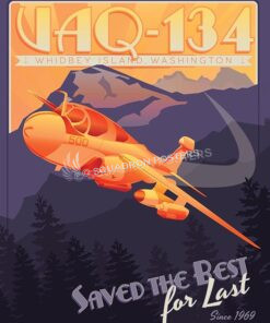 Electronic Attack Squadron 134 (VAQ-134)