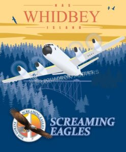 Patrol Squadron 1 (VP-1)