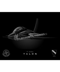 394th Combat Training Squadron