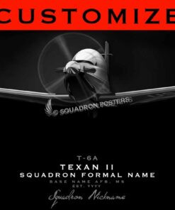 Modify Jet Black Aircraft Lithograph