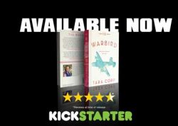 finalcoverreviewskickstarter-small