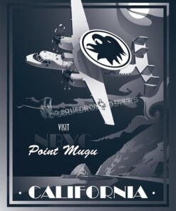 Carrier Airborne Early Warning Squadron 113 (VAW-113)