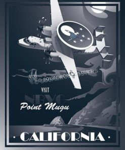 Carrier Airborne Early Warning Squadron 117 (VAW-117)