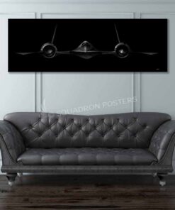 SR-71 Jet Black Lithos
