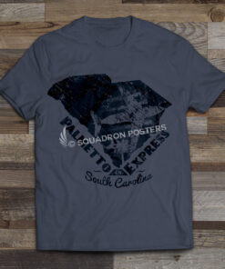 South Carolina C-17 “Palmetto Express, Co.”